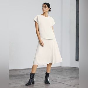 Everlane The City Stripe V-Neck Top + Midi Skirt